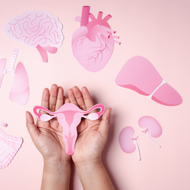 Tratamento para menopausa