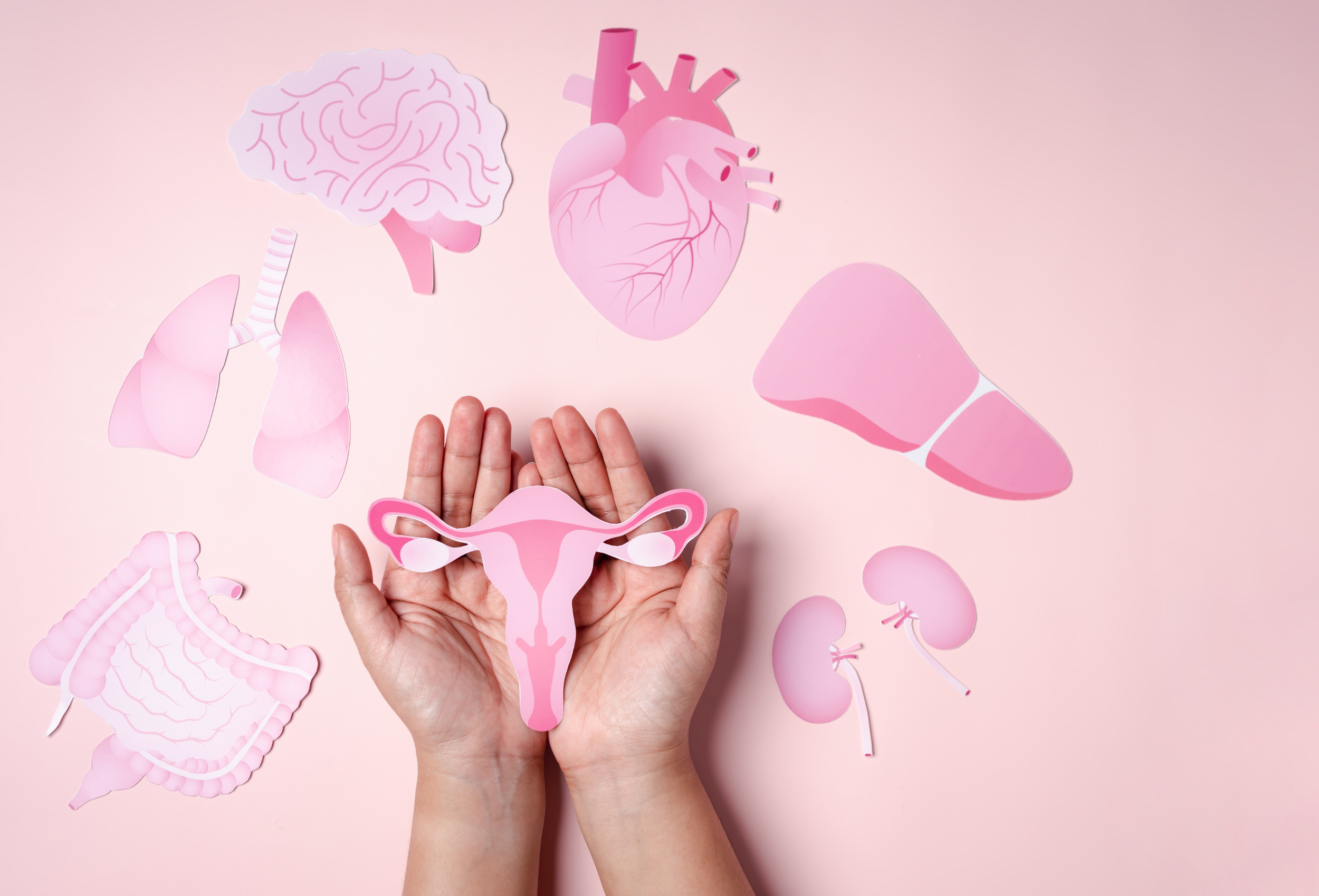 Tratamento para menopausa