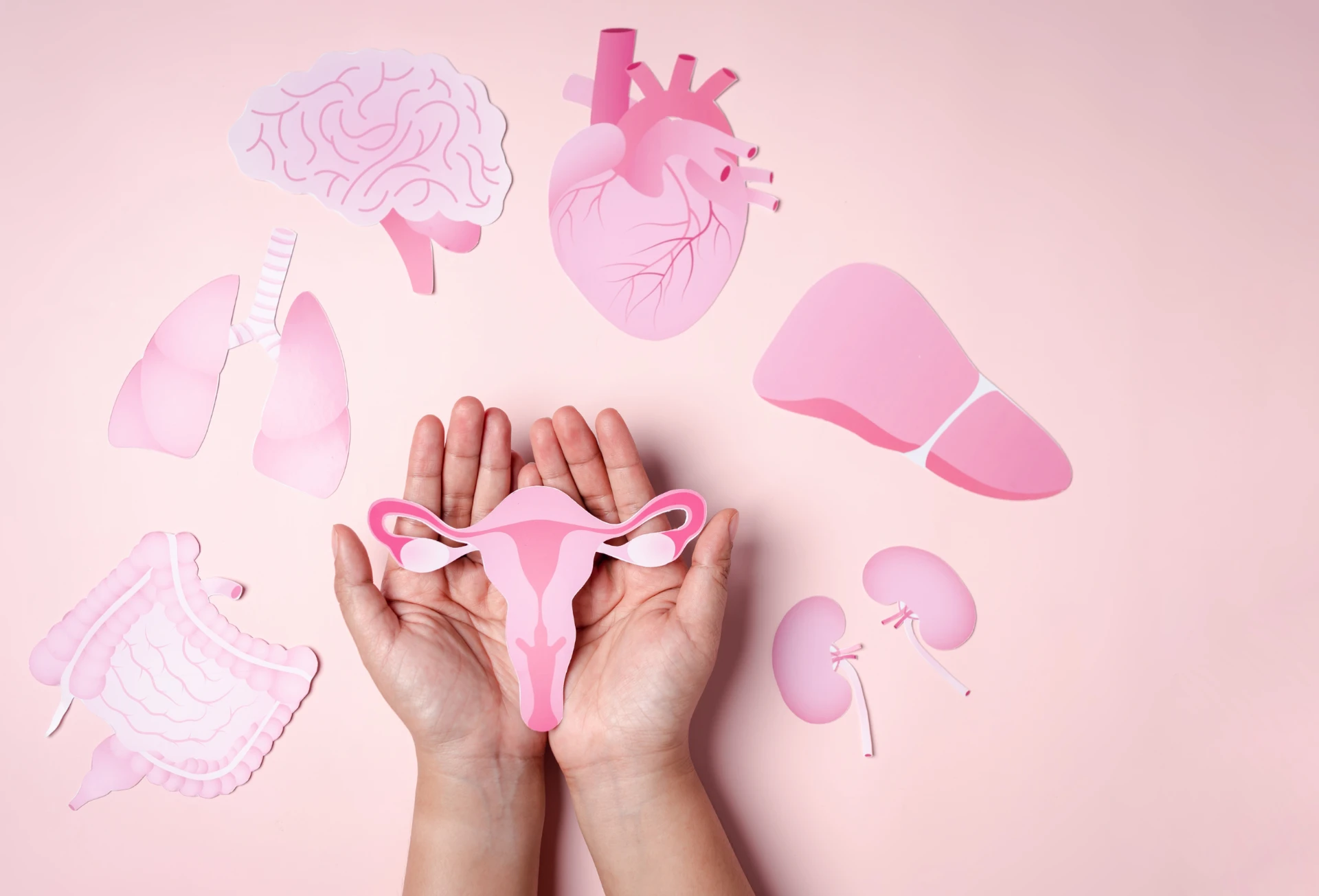 Tratamento da menopausa