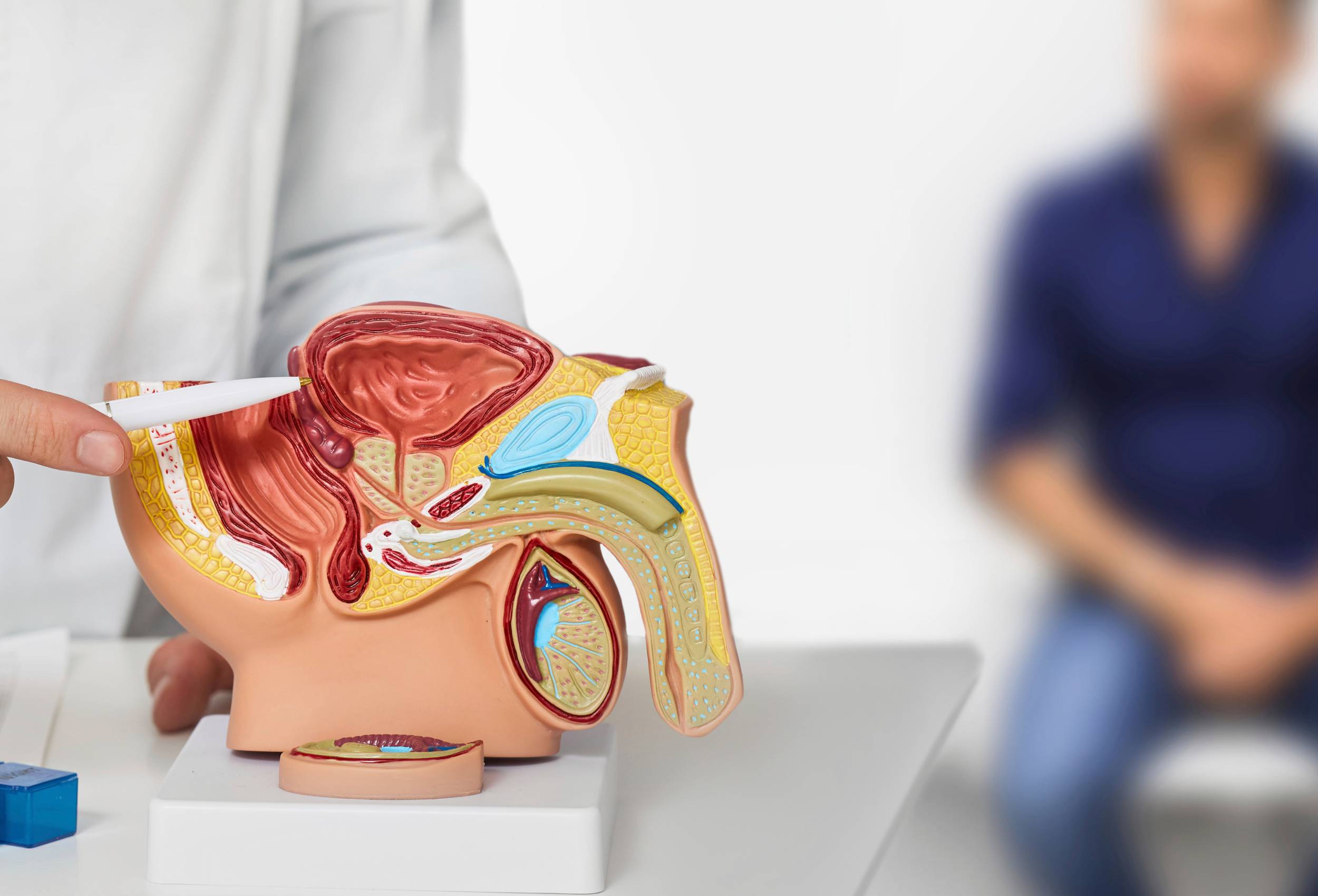 Saúde da próstata: cuidados essenciais após os 400